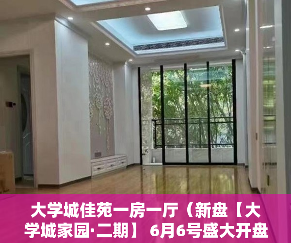 大学城佳苑一房一厅（新盘【大学城家园·二期】 6月6号盛大开盘4880㎡起 ）大产权证办好多久可以办小产权证，