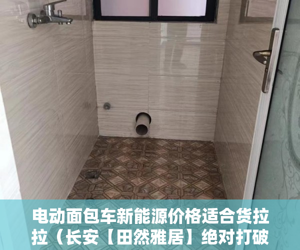 电动面包车新能源价格适合货拉拉（长安【田然雅居】绝对打破长安成交率记录！的新房 ）小产权以租代售能租多久，