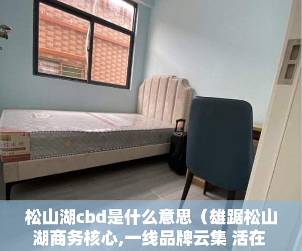 松山湖cbd是什么意思（雄踞松山湖商务核心,一线品牌云集 活在 繁华里 ）买小产权怎么贷款，