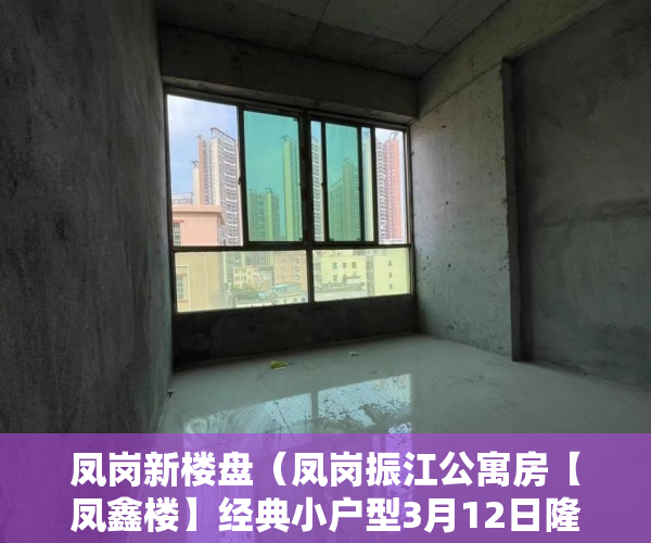 凤岗新楼盘（凤岗振江公寓房【凤鑫楼】经典小户型3月12日隆重开盘 ）小产权住多久，