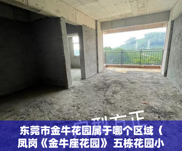 东莞市金牛花园属于哪个区域（凤岗《金牛座花园》 五栋花园小区  高新产业配套住宅 ）办理小产权证要多久，