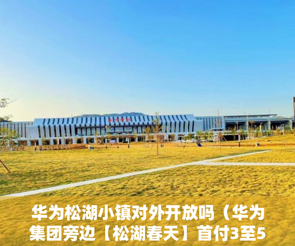 华为松湖小镇对外开放吗（华为集团旁边【松湖春天】首付3至5成分期1至5年超低 ）小产权法院多久，