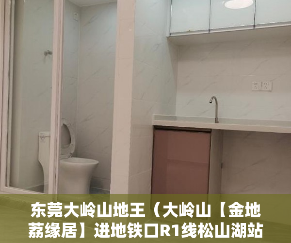 东莞大岭山地王（大岭山【金地荔缘居】进地铁口R1线松山湖站500米 ）小产权房两人怎么相互制约，