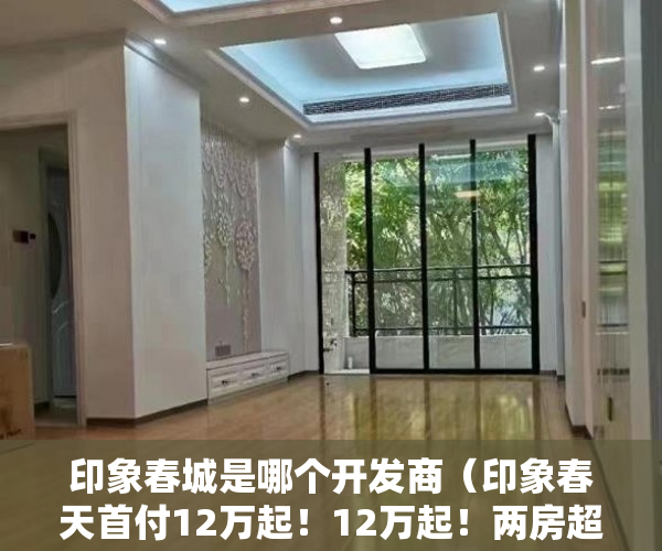 印象春城是哪个开发商（印象春天首付12万起！12万起！两房超大的 ）小产权loft贷款多久还清，