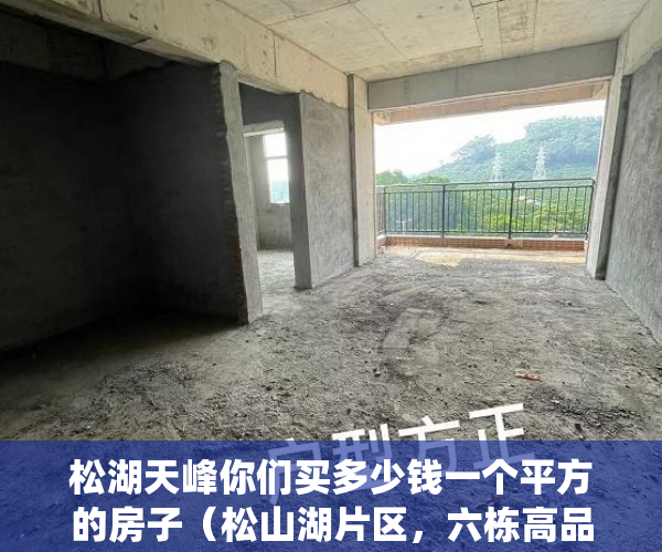 松湖天峰你们买多少钱一个平方的房子（松山湖片区，六栋高品质大社区村委统建楼《天峰松湖》 ）小产权证办理要多久，