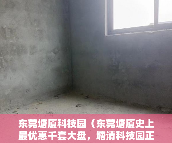 东莞塘厦科技园（东莞塘厦史上最优惠千套大盘，塘清科技园正式开盘 ）小产权房上学后多久才能卖，