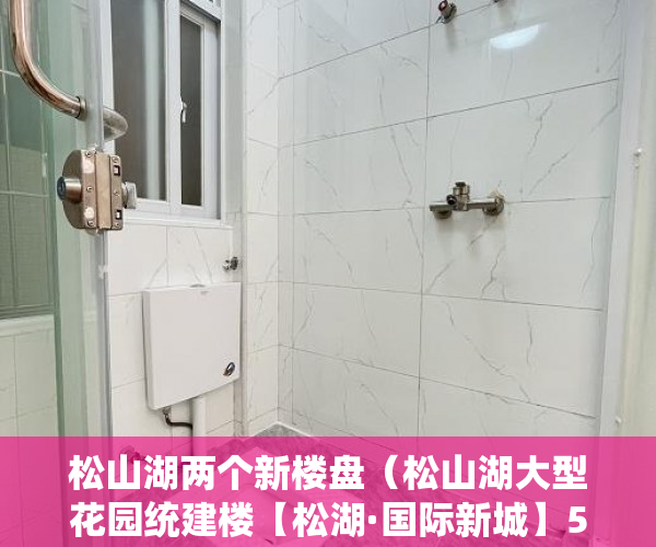 松山湖两个新楼盘（松山湖大型花园统建楼【松湖·国际新城】5880元起 ）山水汇豪小产权能住多久，