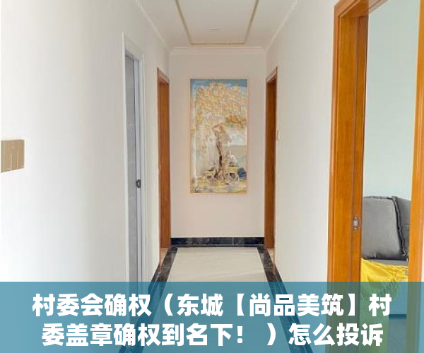 村委会确权（东城【尚品美筑】村委盖章确权到名下！ ）怎么投诉小产权房，