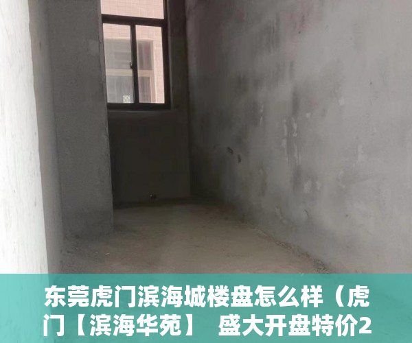 东莞虎门滨海城楼盘怎么样（虎门【滨海华苑】  盛大开盘特价2580元方起无条件分期 ）小产权房过户多久可以买卖，