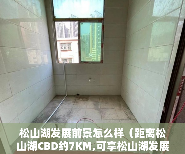 松山湖发展前景怎么样（距离松山湖CBD约7KM,可享松山湖发展红利，未来升值潜力 ）业主办小产权证办理需要多久，