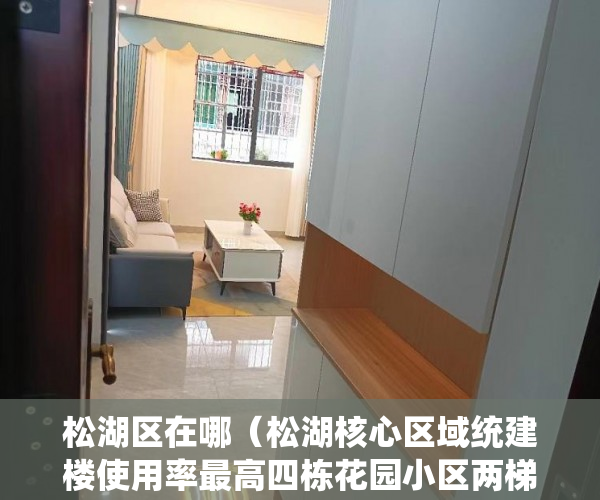 松湖区在哪（松湖核心区域统建楼使用率最高四栋花园小区两梯四户两 ）小产权房子使用权多久，