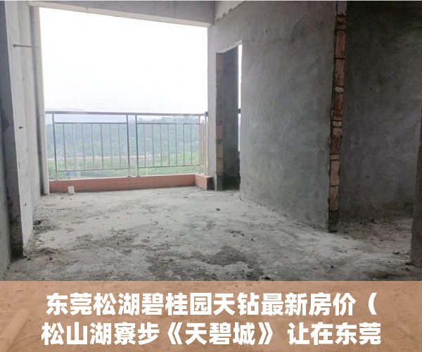 东莞松湖碧桂园天钻最新房价（松山湖寮步《天碧城》 让在东莞的你买房不再是梦想！！ ）小产权房国家怎么处理，