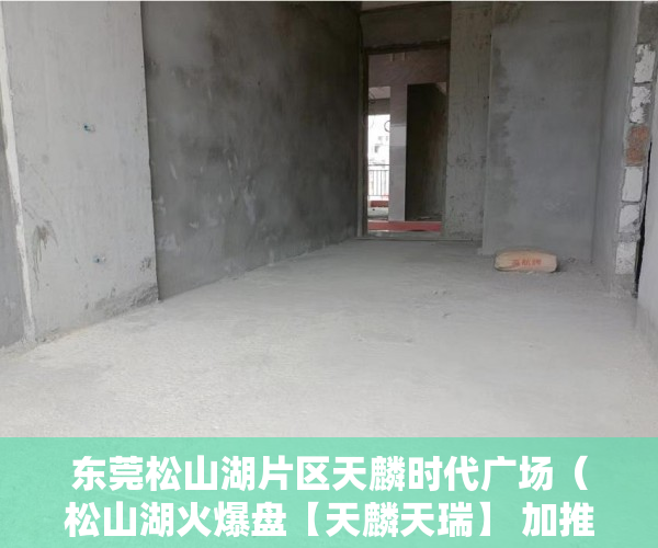 东莞松山湖片区天麟时代广场（松山湖火爆盘【天麟天瑞】 加推3栋楼王，直接认购！！！ ）深圳小产权房多久过户有效，