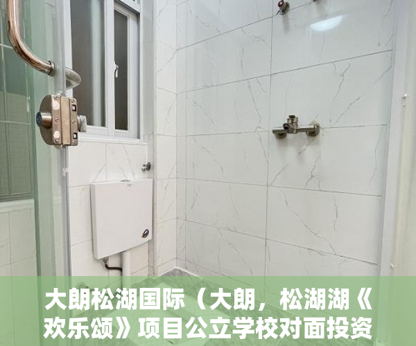 大朗松湖国际（大朗，松湖湖《欢乐颂》项目公立学校对面投资自主最佳 ）大产权办理多久之后分小产权，