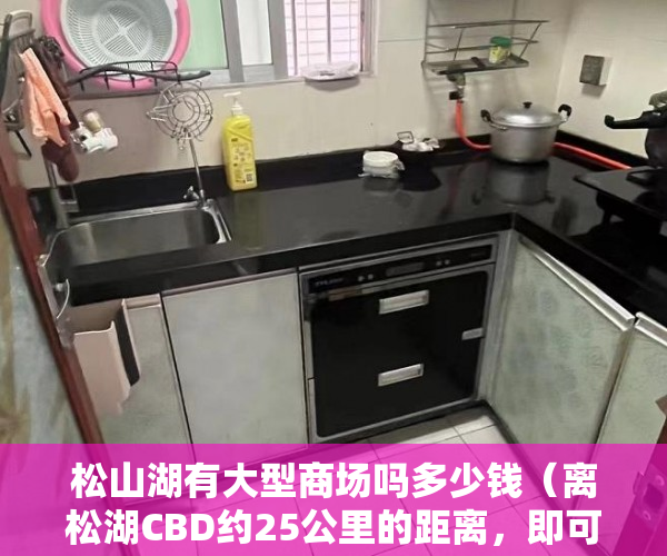 松山湖有大型商场吗多少钱（离松湖CBD约25公里的距离，即可畅享松山湖内繁华商圈 ）小产权房分期能分多久，