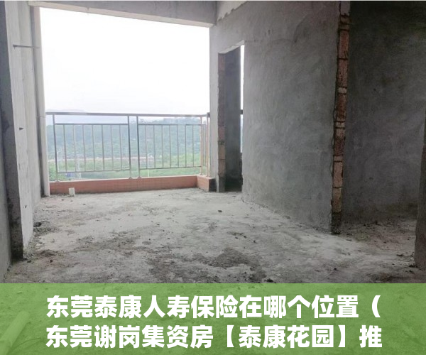 东莞泰康人寿保险在哪个位置（东莞谢岗集资房【泰康花园】推出开发商保留房源80套 ）驿小产权房怎么样，