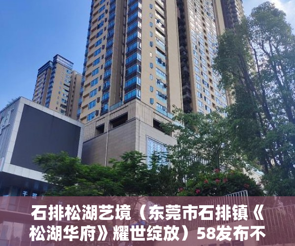 石排松湖艺境（东莞市石排镇《松湖华府》耀世绽放）58发布不了小产权信息怎么办，