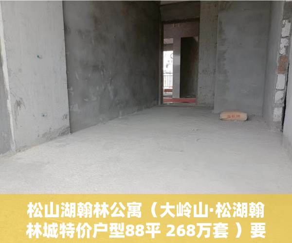 松山湖翰林公寓（大岭山·松湖翰林城特价户型88平 268万套 ）要怎么买小产权房，