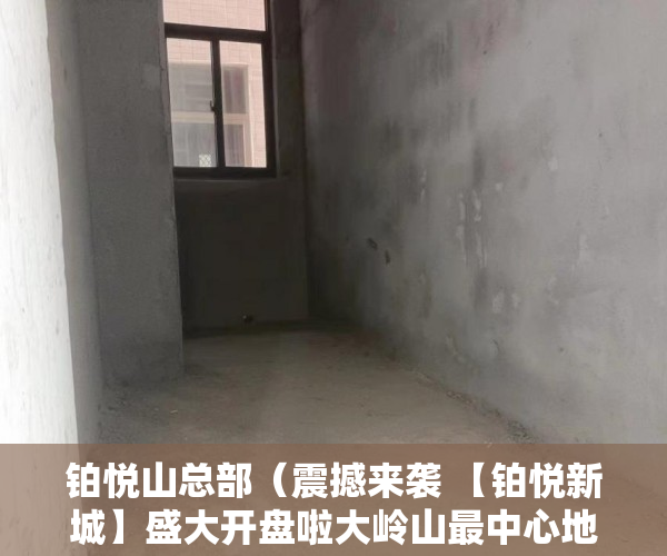 铂悦山总部（震撼来袭 【铂悦新城】盛大开盘啦大岭山最中心地段镇 ）小产权房签合同是多久，
