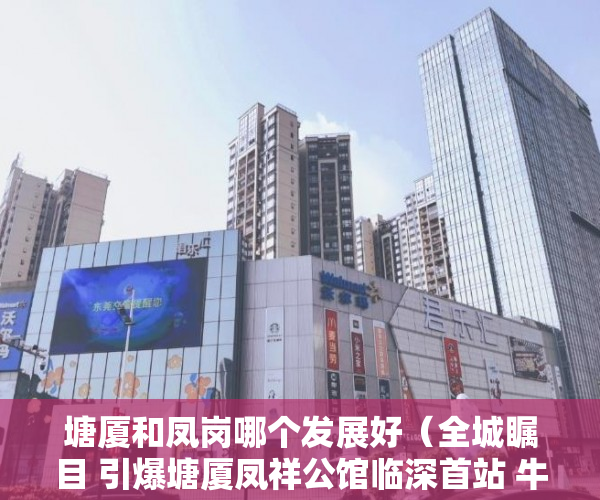 塘厦和凤岗哪个发展好（全城瞩目 引爆塘厦凤祥公馆临深首站 牛湖地铁口 ）小产权的房贷可以办多久的，