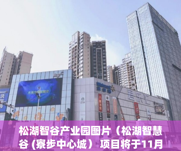 松湖智谷产业园图片（松湖智慧谷 (寮步中心城） 项目将于11月28日火爆回归市 ）违建小产权房过多久就不能拆了，