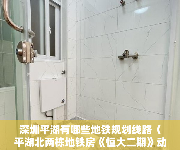 深圳平湖有哪些地铁规划线路（平湖北两栋地铁房《恒大二期》动车15分钟直达罗湖火车站 ）县城小产权房可以住多久，