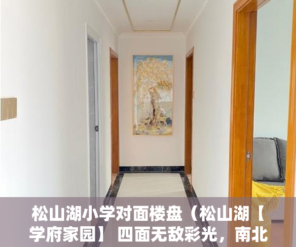 松山湖小学对面楼盘（松山湖【学府家园】 四面无敌彩光，南北通透，飘窗，正 ）小产权房多久可以办房产证，
