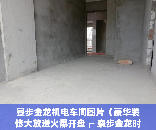 寮步金龙机电车间图片（豪华装修大放送火爆开盘┏ 寮步金龙时代 ）小产权房能查封多久，