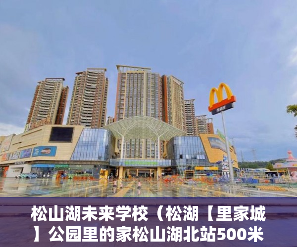 松山湖未来学校（松湖【里家城】公园里的家松山湖北站500米 ）办理小产权证多久可以拿到房产，