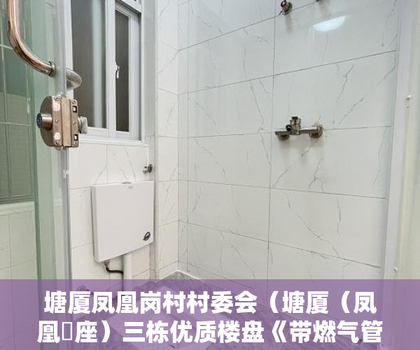 塘厦凤凰岗村村委会（塘厦（凤凰滐座）三栋优质楼盘《带燃气管道》3月23号闪 ）深莞惠买小产权怎么样，