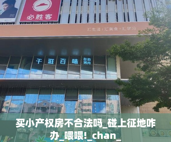 买小产权房不合法吗_碰上征地咋办_喂喂!_chan_