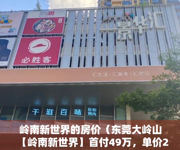 岭南新世界的房价（东莞大岭山【岭南新世界】首付49万，单价2588平 ）不小心买到小产权房怎么打官司，