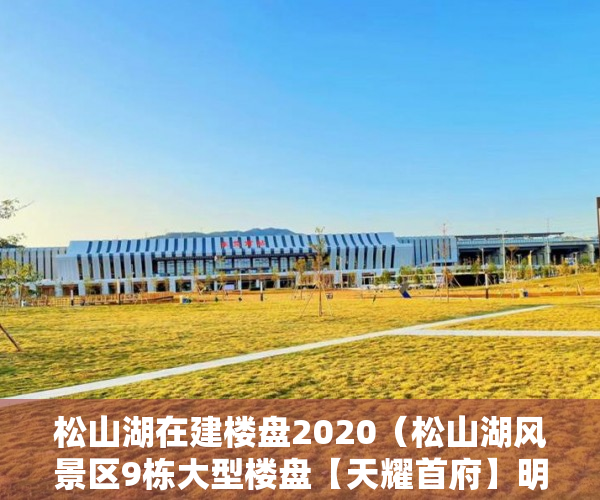 松山湖在建楼盘2020（松山湖风景区9栋大型楼盘【天耀首府】明天开启内部认购 ）办小产权证要多久，