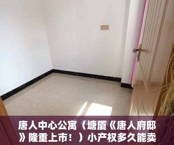 唐人中心公寓（塘厦《唐人府邸》隆重上市！）小产权多久能卖，