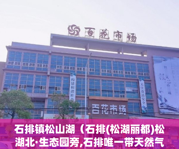石排镇松山湖（石排(松湖丽都)松湖北·生态园旁,石排唯一带天然气双公 ）怎么处理小产权房，