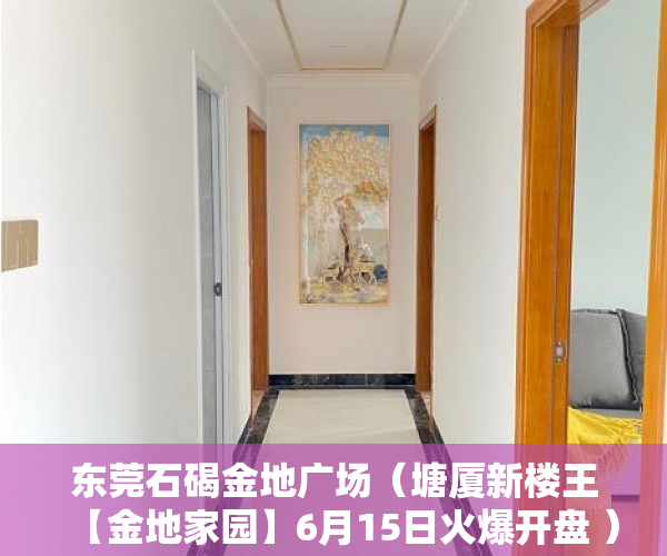 东莞石碣金地广场（塘厦新楼王【金地家园】6月15日火爆开盘 ）小产权胜诉后多久可以要回钱，