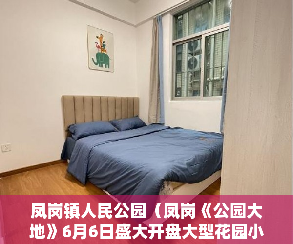凤岗镇人民公园（凤岗《公园大地》6月6日盛大开盘大型花园小区，带管道 ）通州小产权房怎么回事，