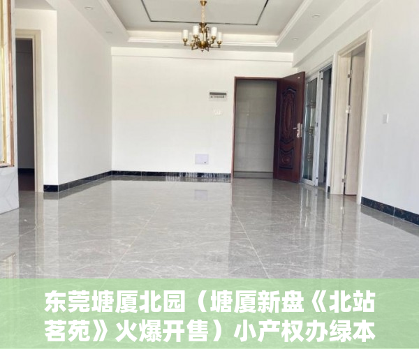 东莞塘厦北园（塘厦新盘《北站茗苑》火爆开售）小产权办绿本需要多久时间，