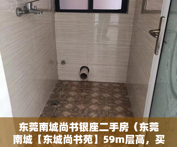 东莞南城尚书银座二手房（东莞南城【东城尚书苑】59m层高，买一套得两套 ）小产权买到手多久能转卖，