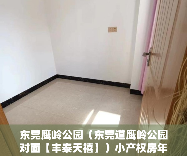 东莞鹰岭公园（东莞道鹰岭公园对面【丰泰天禧】）小产权房年限多久，