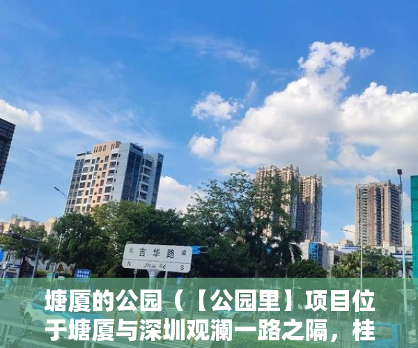 塘厦的公园（【公园里】项目位于塘厦与深圳观澜一路之隔，桂花路旁 ）买到小产权房无法过户怎么办，