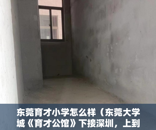 东莞育才小学怎么样（东莞大学城《育才公馆》下接深圳，上到广州 ）58上怎么发布小产权房屋出售，