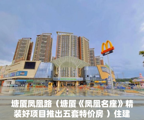 塘厦凤凰路（塘厦《凤凰名座》精装好项目推出五套特价房 ）住建局怎么查小产权，