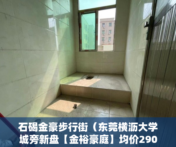 石碣金豪步行街（东莞横沥大学城旁新盘【金裕豪庭】均价2900元 ）购房时怎么能看出是大小产权，