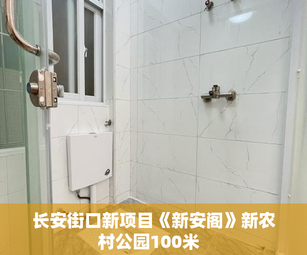长安街口新项目《新安阁》新农村公园100米  