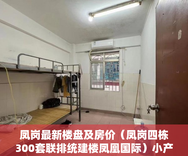 凤岗最新楼盘及房价（凤岗四栋300套联排统建楼凤凰国际）小产权怎么样，