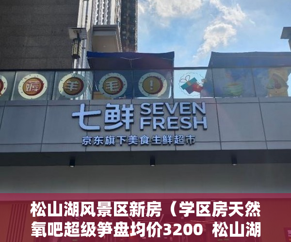 松山湖风景区新房（学区房天然氧吧超级笋盘均价3200  松山湖【山景华府】 ）大产权证拿到后多久能拿到小产权证，