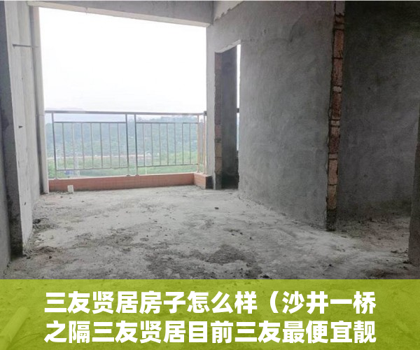 三友贤居房子怎么样（沙井一桥之隔三友贤居目前三友最便宜靓房 ）小产权房商用改民用使用权是多久，