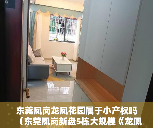 东莞凤岗龙凤花园属于小产权吗（东莞凤岗新盘5栋大规模《龙凤居》每栋12层豪宅 278万一 ）小产权房怎么，