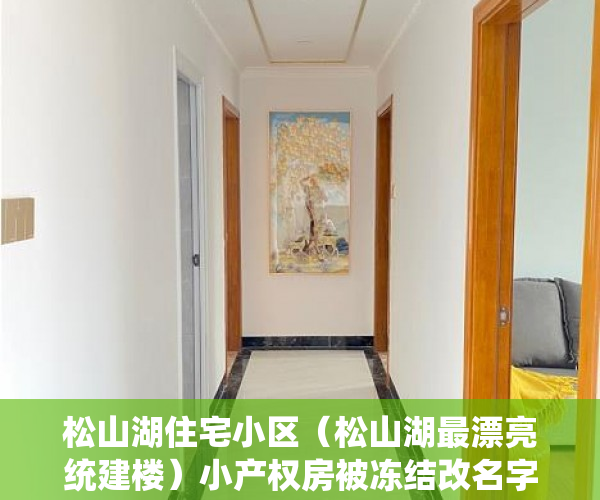 松山湖住宅小区（松山湖最漂亮统建楼）小产权房被冻结改名字怎么办，
